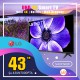 LG 43 นิ้ว UN70 TV 4K รุ่น 43UN7000PTA 4K Smart UHD UN7000 LG 43 นิ้ว UN70 TV 4K รุ่น 43UN7000PTA 4K Smart UHD UN7000